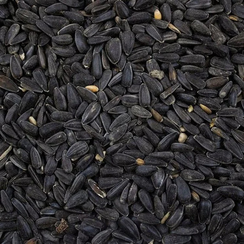 Avigrain Black Sunflower Seed 1kg