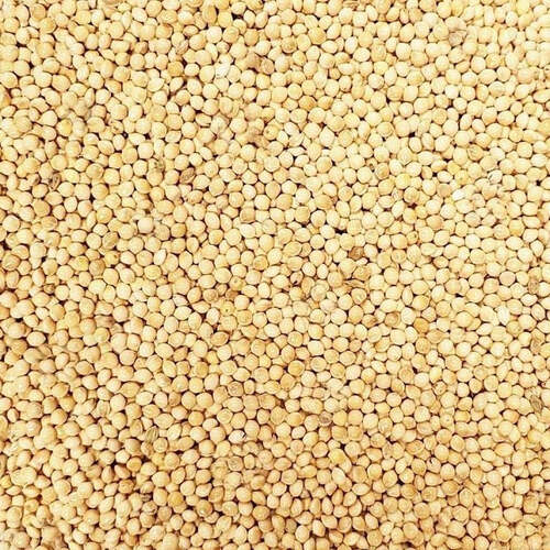 Avigrain White French Millet Seed 2.5kg