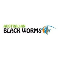 Australian Black Worms
