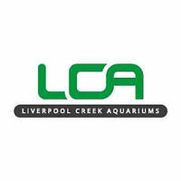 LCA